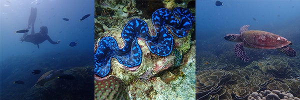 NUS Dive’s first Overseas Freediving at Tioman Island, Malaysia, 21 Sep 2019.