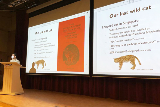Sharing about leopard cats at the screening event.

