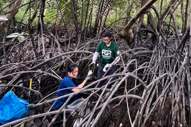 Xin Ee at conducting fieldwork one of the few remaining patches of mangroves left in Singapore, collecting data to better understand the state of mangroves in Singapore.