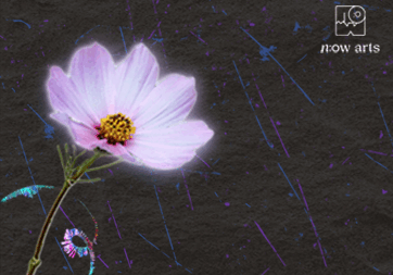 362 x 272 px osa thumbnail