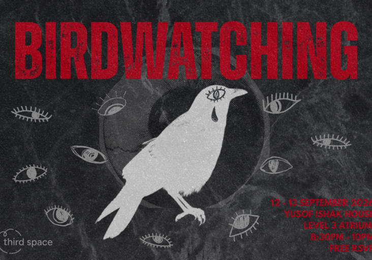 Birdwatching KV 3 x 2